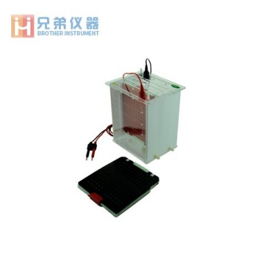 JY-ZY2轉(zhuǎn)移電泳槽