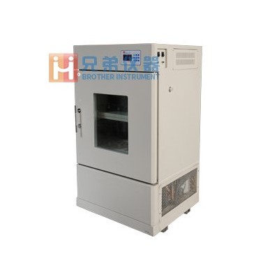 BSD-YX(F)3200小容量立式搖床（恒溫）