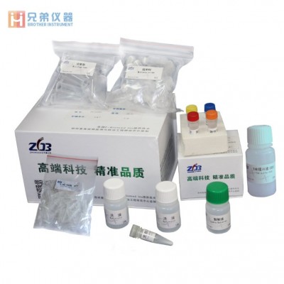 新城疫病毒RT-PCR檢測試劑盒