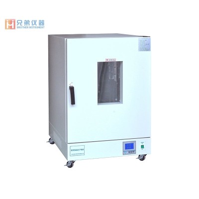 LDO-9620A電熱恒溫鼓風干燥箱