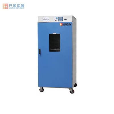 DGG9620A立式電熱鼓風(fēng)干燥箱