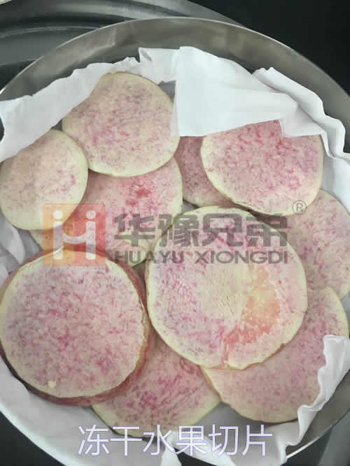 LGJ-18多歧管壓蓋真空冷凍干燥機(jī)