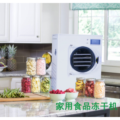 小型低溫凍干設(shè)備 水果冷凍干燥機